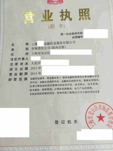 上海金融信息服务公司的市场现状与转让价值分析